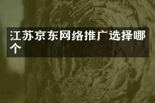 江苏京东网络推广选择哪个