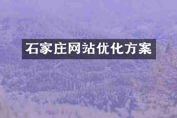 石家庄网站优化方案