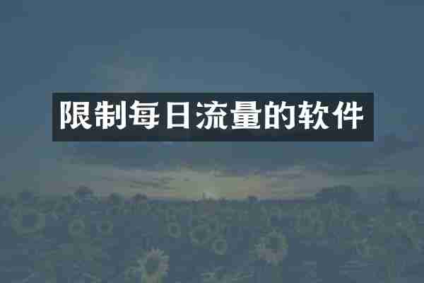 限制每日流量的软件