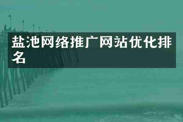 盐池网络推广网站优化排名
