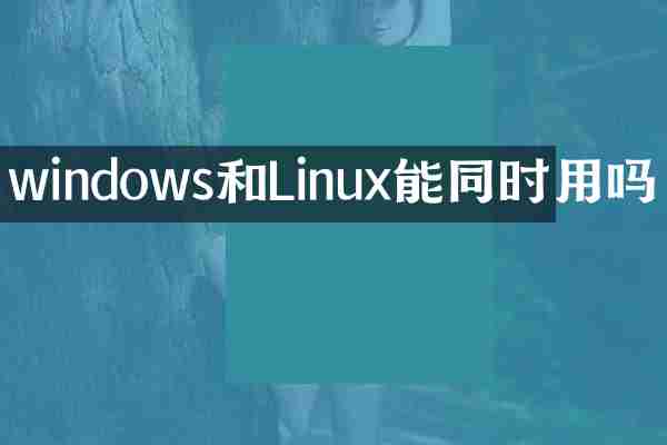 windows和Linux能同时用吗