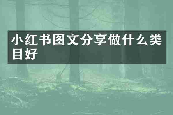 小红书图文分享做什么类目好