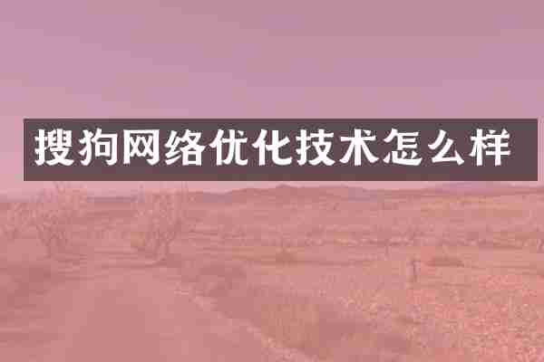 搜狗网络优化技术怎么样