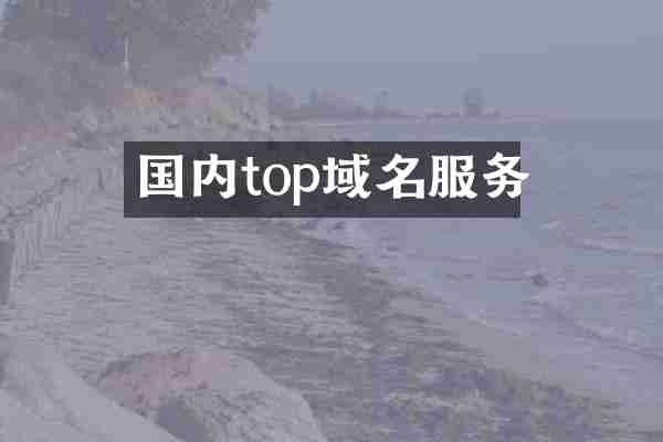 国内top域名服务