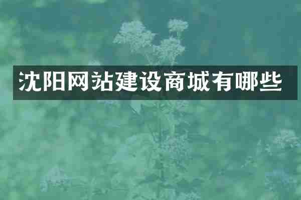沈阳网站建设商城有哪些