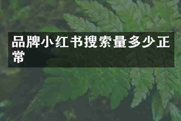 品牌小红书搜索量多少正常