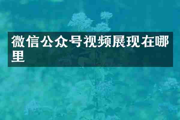 微信公众号视频展现在哪里