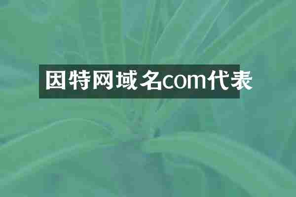 因特网域名com代表