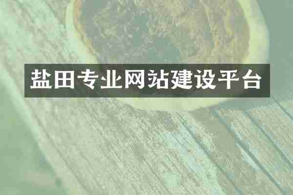 盐田专业网站建设平台