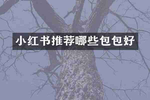 小红书推荐哪些包包好