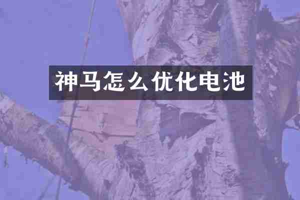 神马怎么优化电池