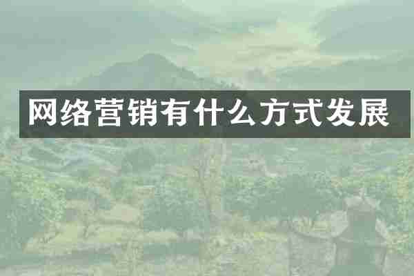 网络营销有什么方式发展