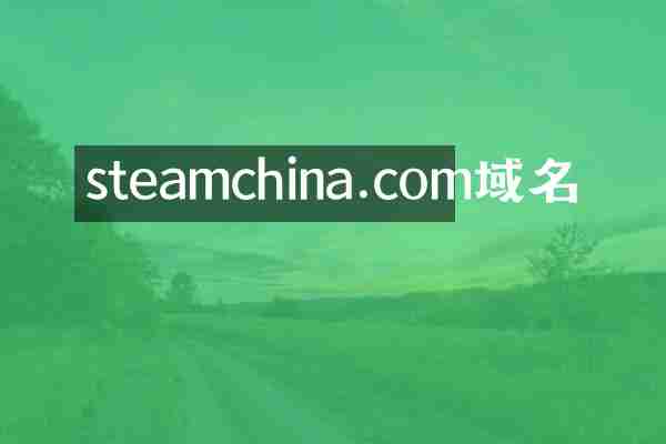steamchina.com域名