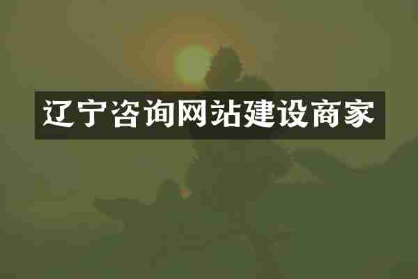 辽宁咨询网站建设商家
