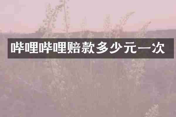 哔哩哔哩赔款多少元一次