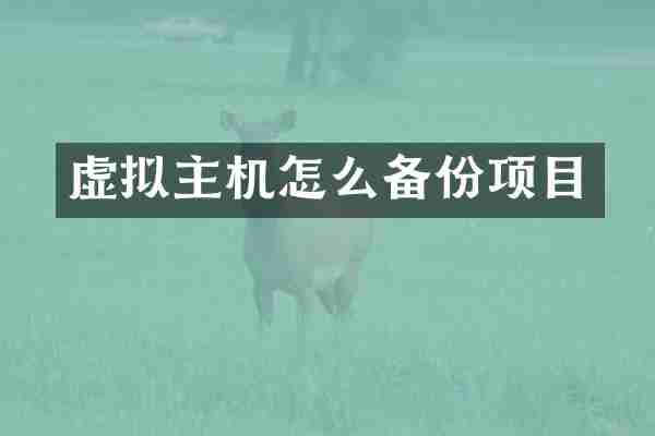 虚拟主机怎么备份项目
