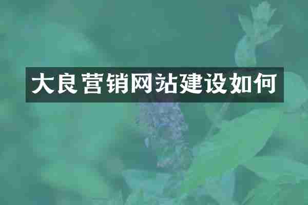 大良营销网站建设如何
