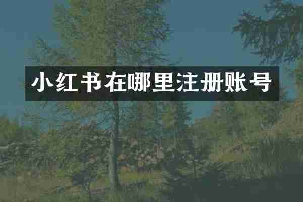 小红书在哪里注册账号