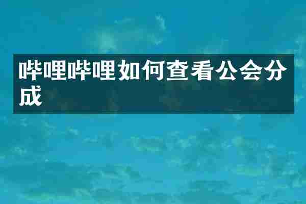 哔哩哔哩如何查看公会分成