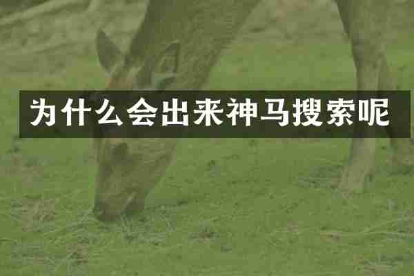 为什么会出来神马搜索呢
