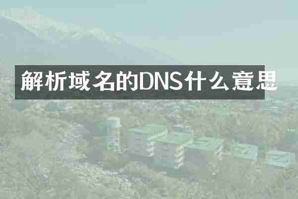 解析域名的DNS什么意思