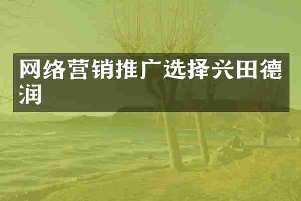 网络营销推广选择兴田德润