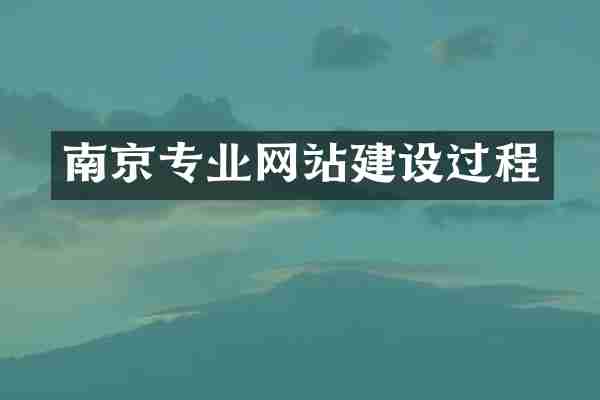 南京专业网站建设过程