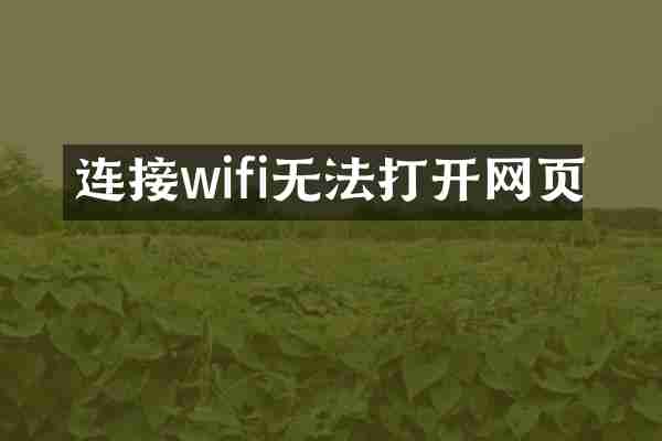 连接wifi无法打开网页
