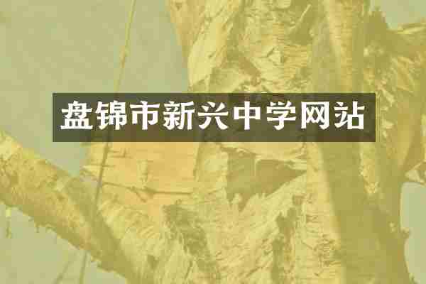 盘锦市新兴中学网站
