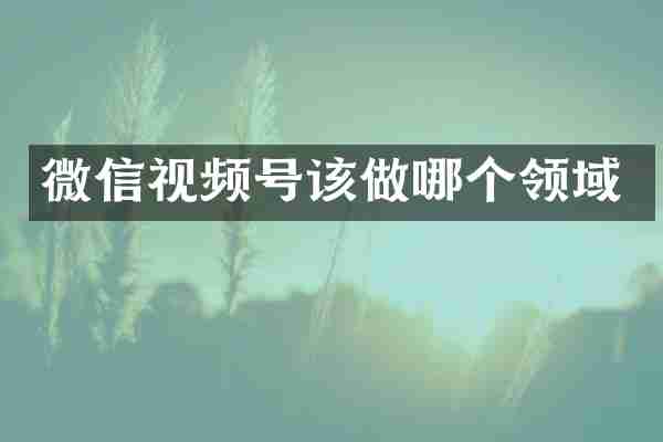 微信视频号该做哪个领域