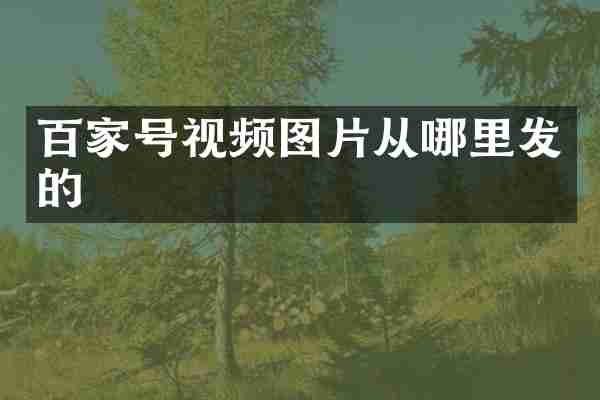 百家号视频图片从哪里发的