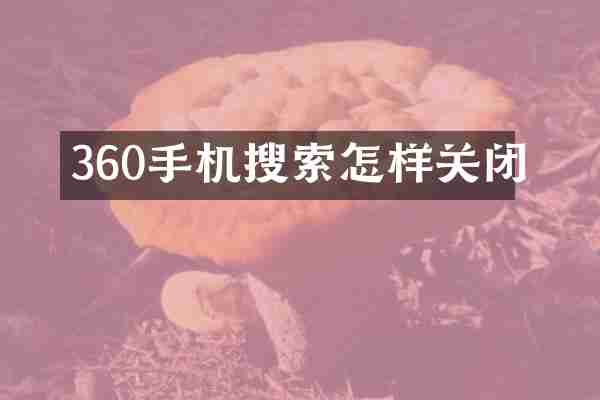360手机搜索怎样关闭