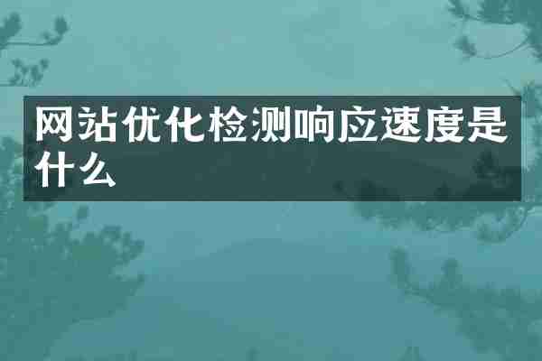 网站优化检测响应速度是什么