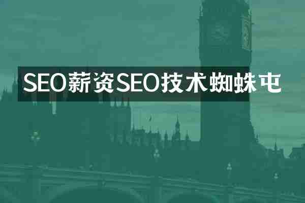 SEO薪资SEO技术蜘蛛屯