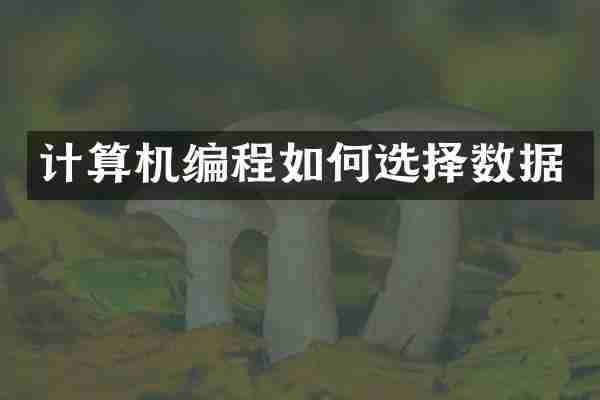 计算机编程如何选择数据