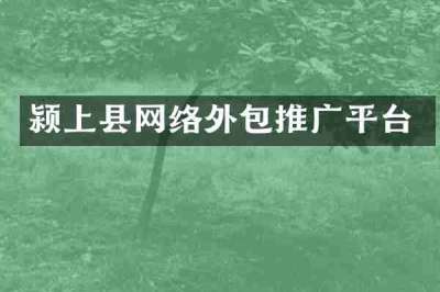 颍上县网络外包推广平台