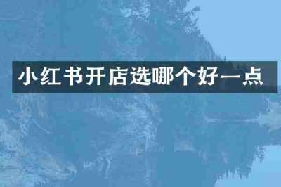小红书开店选哪个好一点