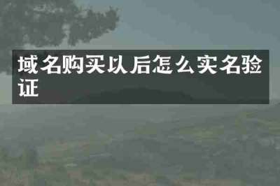 域名购买以后怎么实名验证
