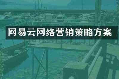网易云网络营销策略方案