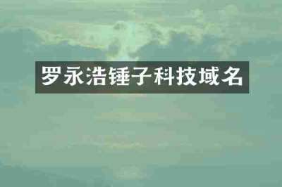 罗永浩锤子科技域名