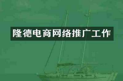 隆德电商网络推广工作