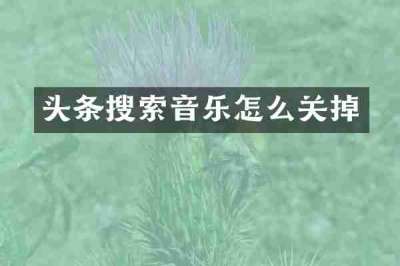 头条搜索音乐怎么关掉