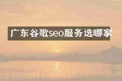 广东谷歌seo服务选哪家