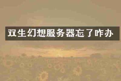 双生幻想服务器忘了咋办