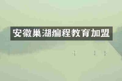 安徽巢湖编程教育加盟
