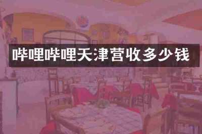 哔哩哔哩天津营收多少钱