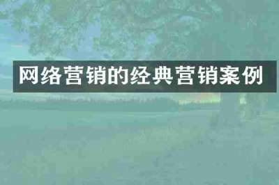 网络营销的经典营销案例