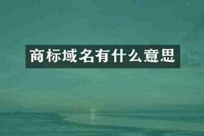 商标域名有什么意思
