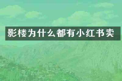 影楼为什么都有小红书卖