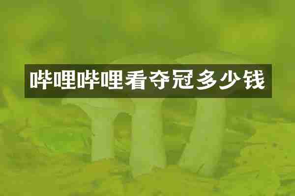 哔哩哔哩看夺冠多少钱